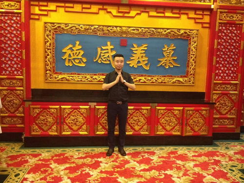 贞奇文化 以奇慧之道，助力中小微企业扬帆远航