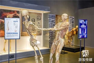 贞奇文化 探寻金石滩的神秘瑰宝与奇幻之旅