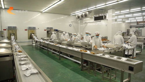 石家庄洛杉奇食品携手贞奇文化 亮相河北电视台，引领品质生活新风尚